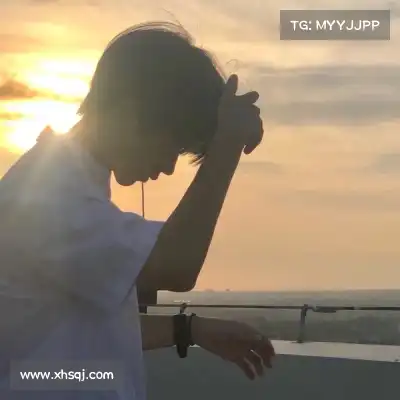 费朗标